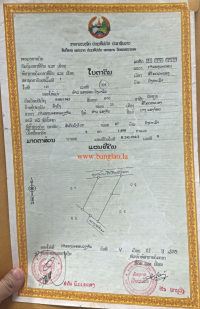 T00173